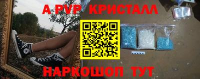 гашик Кандалакша